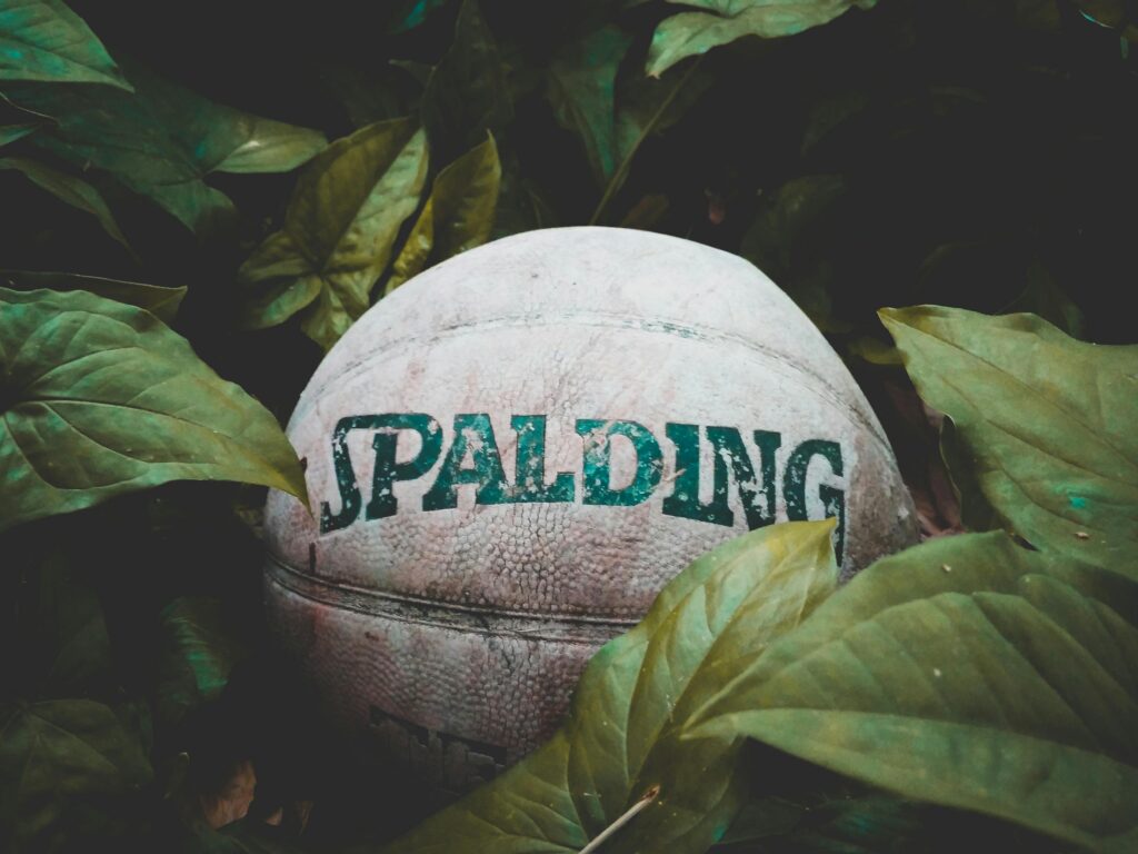 branding Spalding